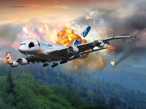 Təyyarə qəzasından 17 gün sonra 4 uşaq sağ tapıldı