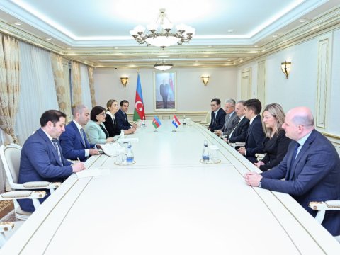 Spiker Xorvatiya parlamentinin sədr müavini ilə görüşdü