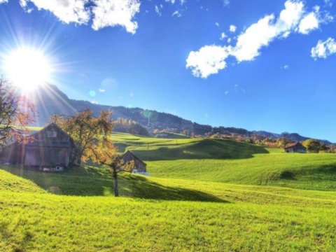 Sabah 27 dərəcə isti olacaq - PROQNOZ