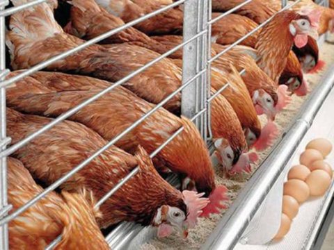 Moskvada TƏHLÜKƏ - Karantin elan edildi