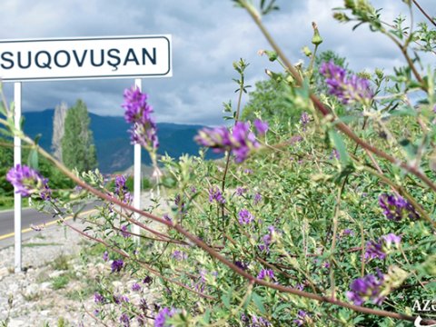 Suqovuşanın yaz mənzərəsi - FOTOLAR