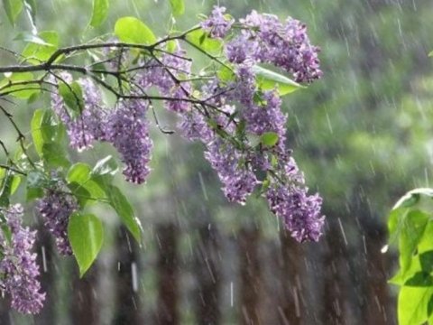 Leysan, güclü külək, sulu qar... - Sabahın havası