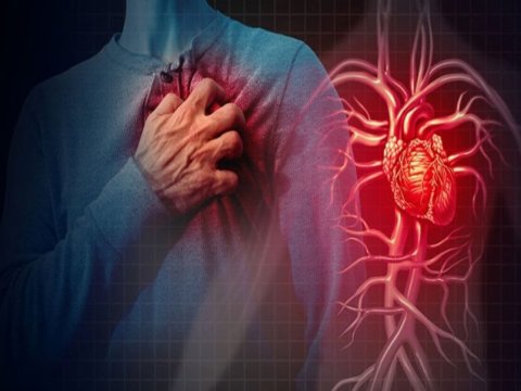 Ürək-damar xəstəlikləri çox cavanlaşıb - TƏBİB rəhbəri