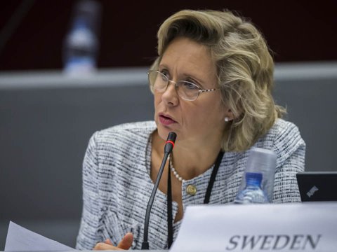 Sülhün təmin olunması üçün çalışırıq - ATƏT PA sədri