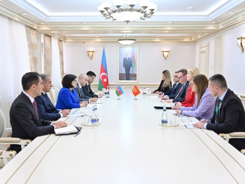 Azərbaycan və Monteneqro spikerləri görüşdü 