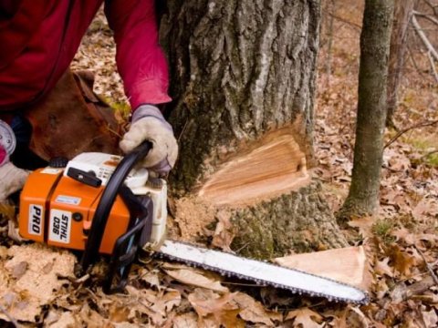 Ekoloji hüquqpozmalarla bağlı cinayət işi başlandı