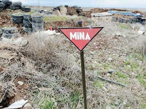Diaspordan mina problemi ilə bağlı müraciət 