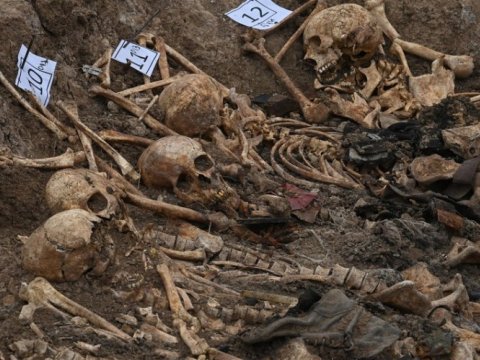 Edillidən tapılan sümük qalıqlarının kriminalistik müayinəsi bitir - RƏSMİ