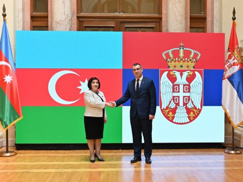 Sahibə Qafarova serbiyalı həmkarı ilə görüşdü 