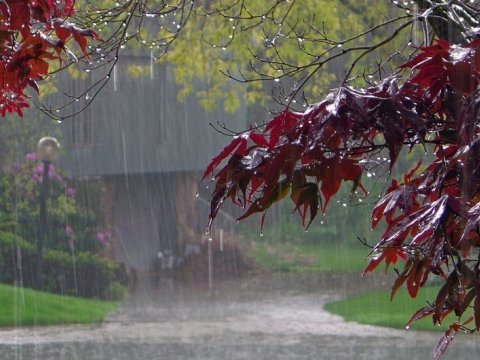 Qeyri-sabit hava mayın sonunadək davam edəcək