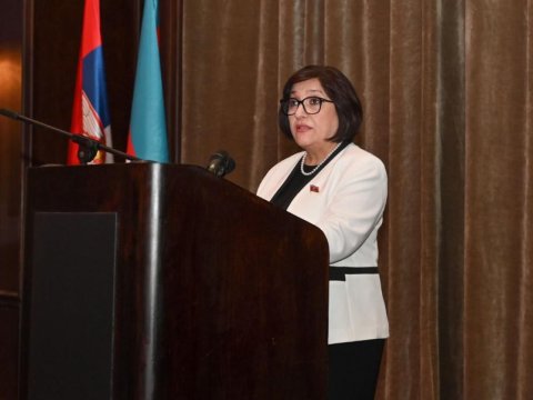 Spiker Serbiyada 28 May tədbirində çıxış edib - FOTOLAR