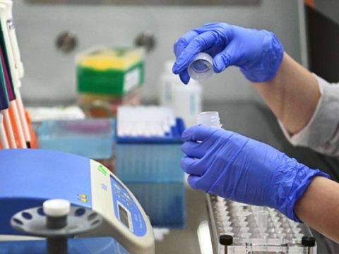 Yoluxan var, amma ölən yoxdur - COVID statistikası