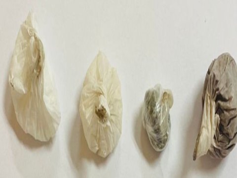 Həbsdəki qohumuna narkotik aparan qadın saxlanıldı