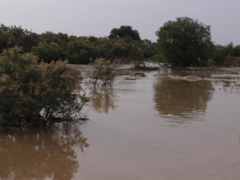 Təxliyə olunan sakinlər evlərinə QAYTARILIR