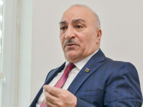Ağcaqanad əlindən dayanmaq olmur - Tahir Kərimli şikayətləndi