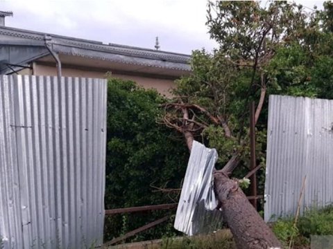 2 nəfərin ölüm xəbərinə DİN-dən reaksiya - YENİLƏNİB