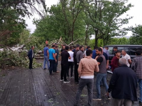 Güclü küləkdən xəsarət alanlar var - TƏBİB