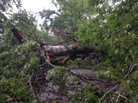 Göyçaya işıq verilməsi dayandırıldı