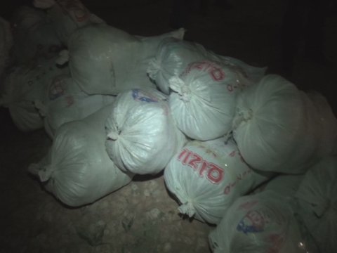 700 min manatlıq narkotik dövriyyədən çıxarıldı - FOTOLAR