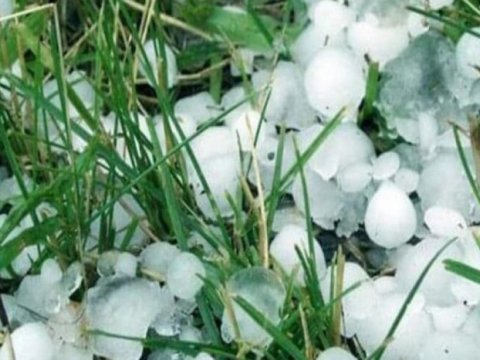 Oğuz rayonuna güclü dolu yağdı 