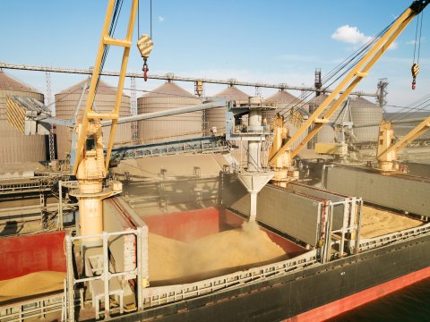 Ukrayna limanlarından taxıl ixracı 2 dəfə azalıb