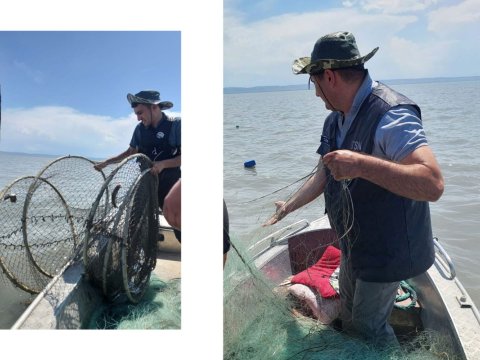 Qanunsuz balıq ovlayan şəxslər cəzalandırıldı