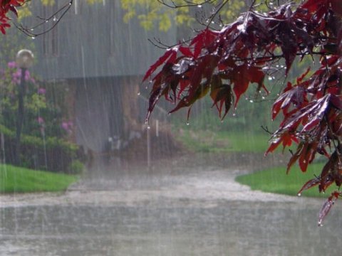 Hava ilə bağlı daha bir xəbərdarlıq