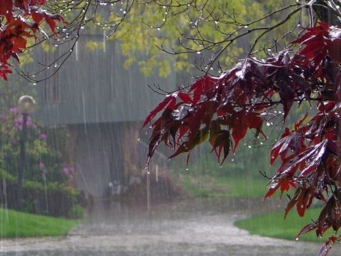 Qeyri-sabit hava bu tarixədək davam edəcək 