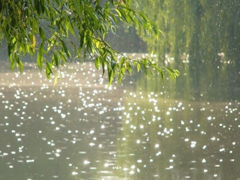 Temperatur enəcək, yenə leysan olacaq - PROQNOZ