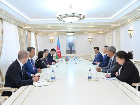 İsrail dost və tərəfdaş ölkədir - Sahibə Qafarova