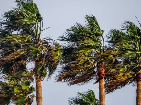 Hava ilə bağlı xəbərdarlıq: Güclü külək əsəcək