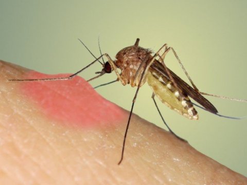 Yayın ən böyük təhlükəsi - Həkimlər həyəcan təbili çalır