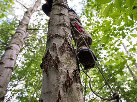 58 yaşlı kişi tut ağacından yıxılıb öldü