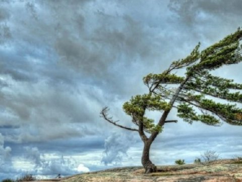 Hava şəraiti ilə əlaqədar əhaliyə növbəti MÜRACİƏT