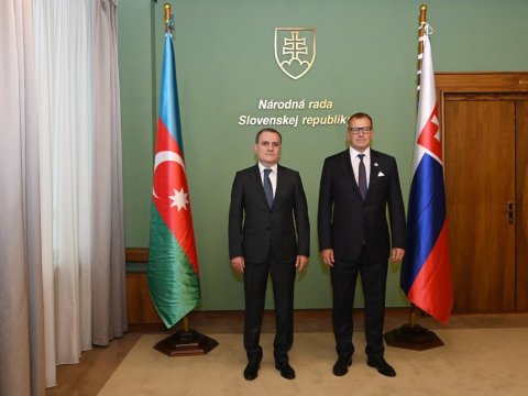 Nazir Slovakiya Milli Şurasının sədri ilə görüşdü - FOTO
