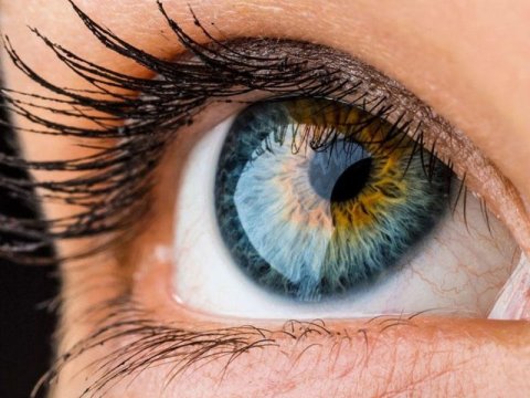 Azərbaycanda gözün buynuz qişası bankı yaradılır