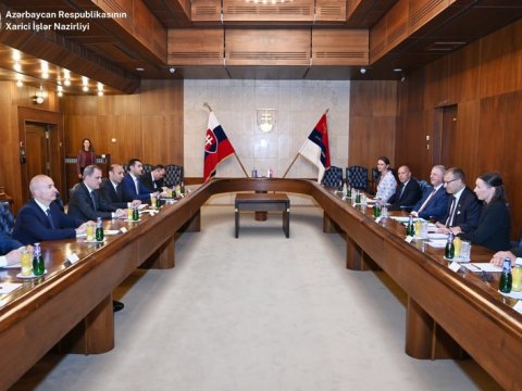 Slovakiya şirkətləri Qarabağda işləmək istəyir