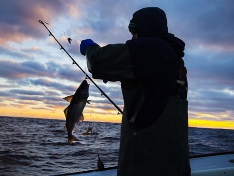 Qanunsuz balıq ovlayanlar saxlanıldı
