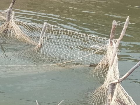 Su hövzələrindən 78 ədəd sintetik tor götürülüb