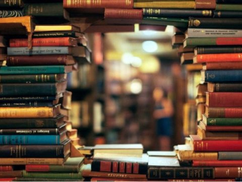 “Atamın ruhu”, “Qara kabus”, “Qeyrət və Xəyanət” - Kitab yazan deputatlar 