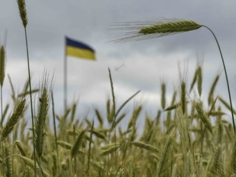 Rusiya taxıl ixracına mane olur