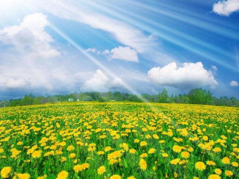 Şənbə günü 32 dərəcə isti olacaq