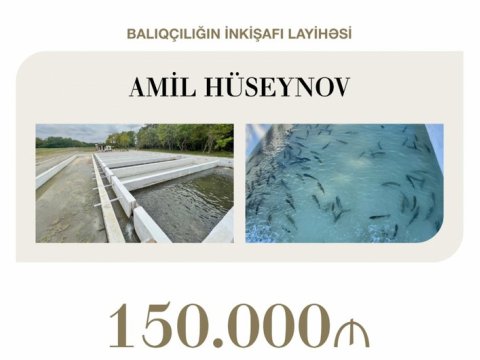 Balıqçılığın inkişafı üçün 150 min manat güzəştli kredit verilib