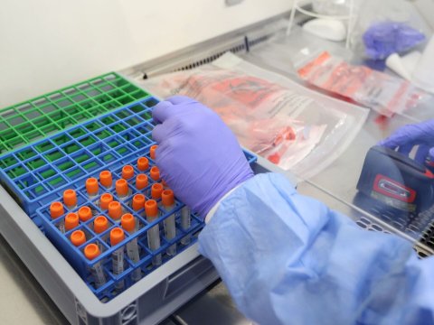 Koronavirus statistikası - Ölən yoxdur 