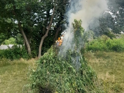 3.5 tondan artıq narkotik məhv edildi 