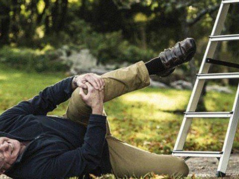 74 yaşlı kişi tut ağacından yıxıldı