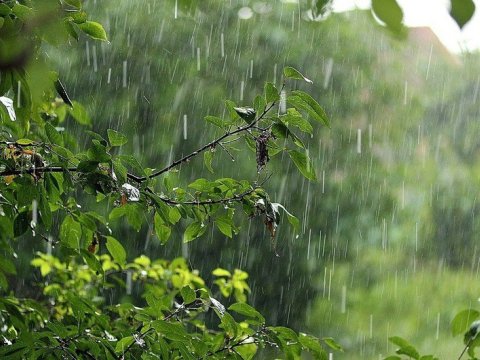 Rayonlarda şimşək çaxıb, yağış yağıb - FAKTİKİ HAVA