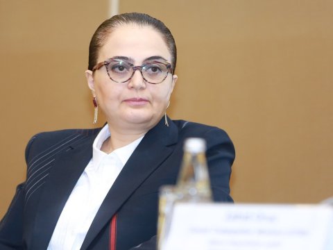 Ermənilər İrəvanın tarixi kökünü məhv ediblər - Nazir müavini