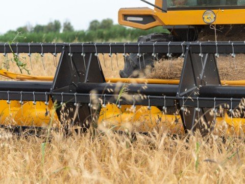 Taxıl sahələrinin neçə faizində biçin yekunlaşıb? - FOTOLAR