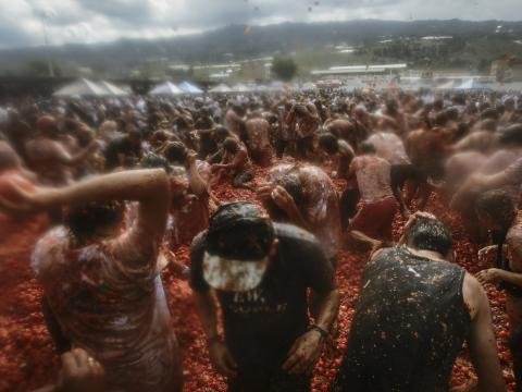 Bir-birilərinə 40 ton pomidor atdılar - FOTO